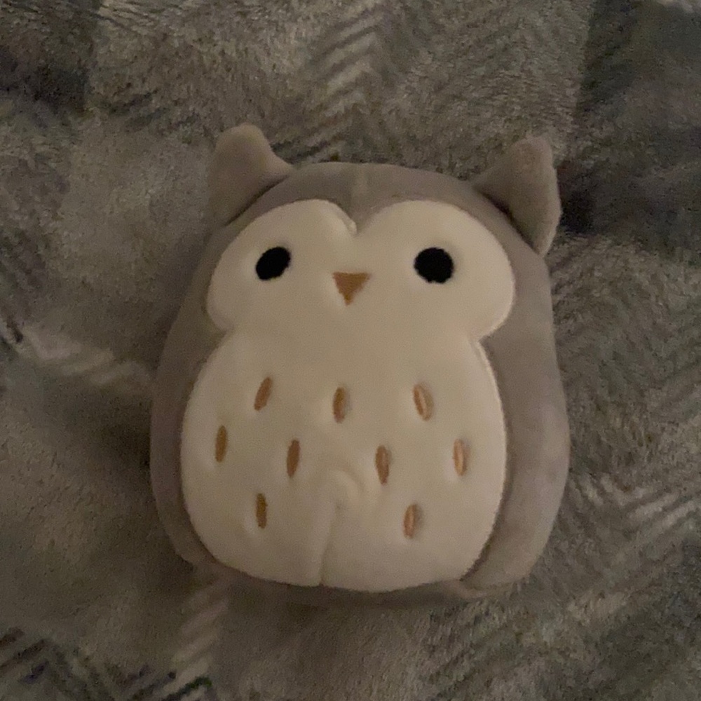 Cute purple owl